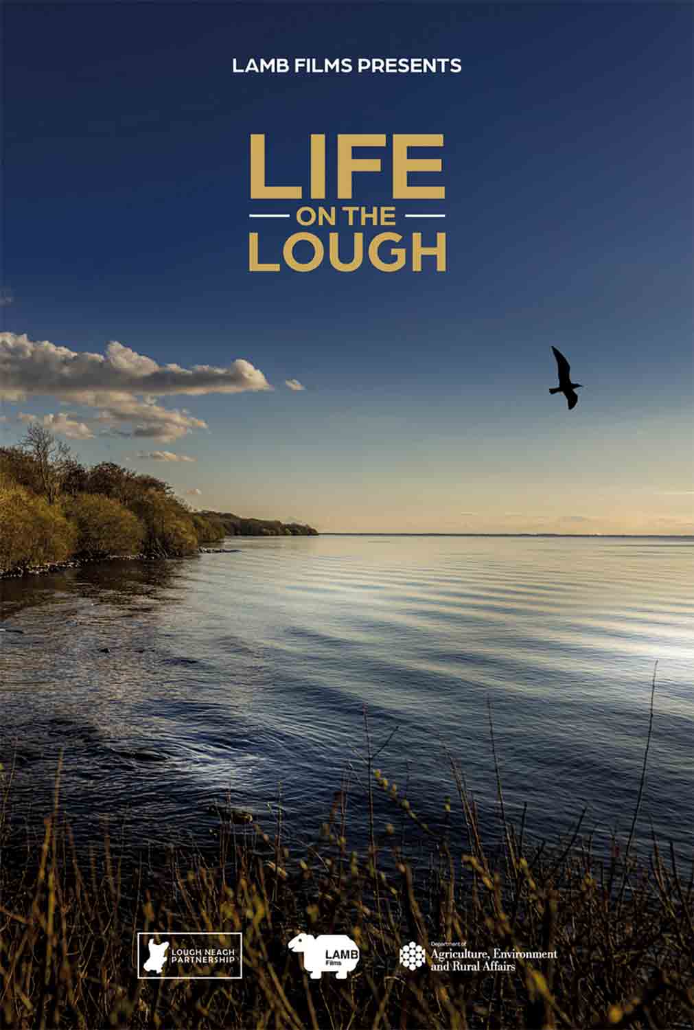 blank film poster